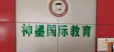 校外培訓(xùn)機(jī)構(gòu)整治工作有喜有憂，文化藝術(shù)交流活動(dòng)策劃如何助力教育生態(tài)優(yōu)化